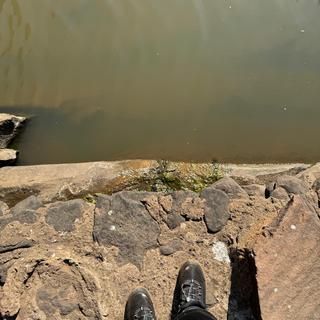 Submitted by Ofentse K