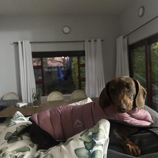 Submitted by WALDETTE G