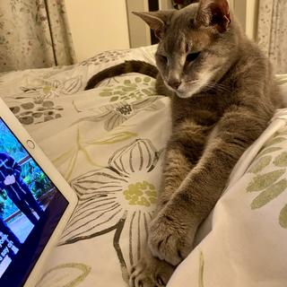 Submitted by Tracey B