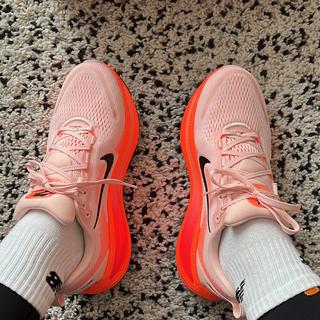 User submitted image